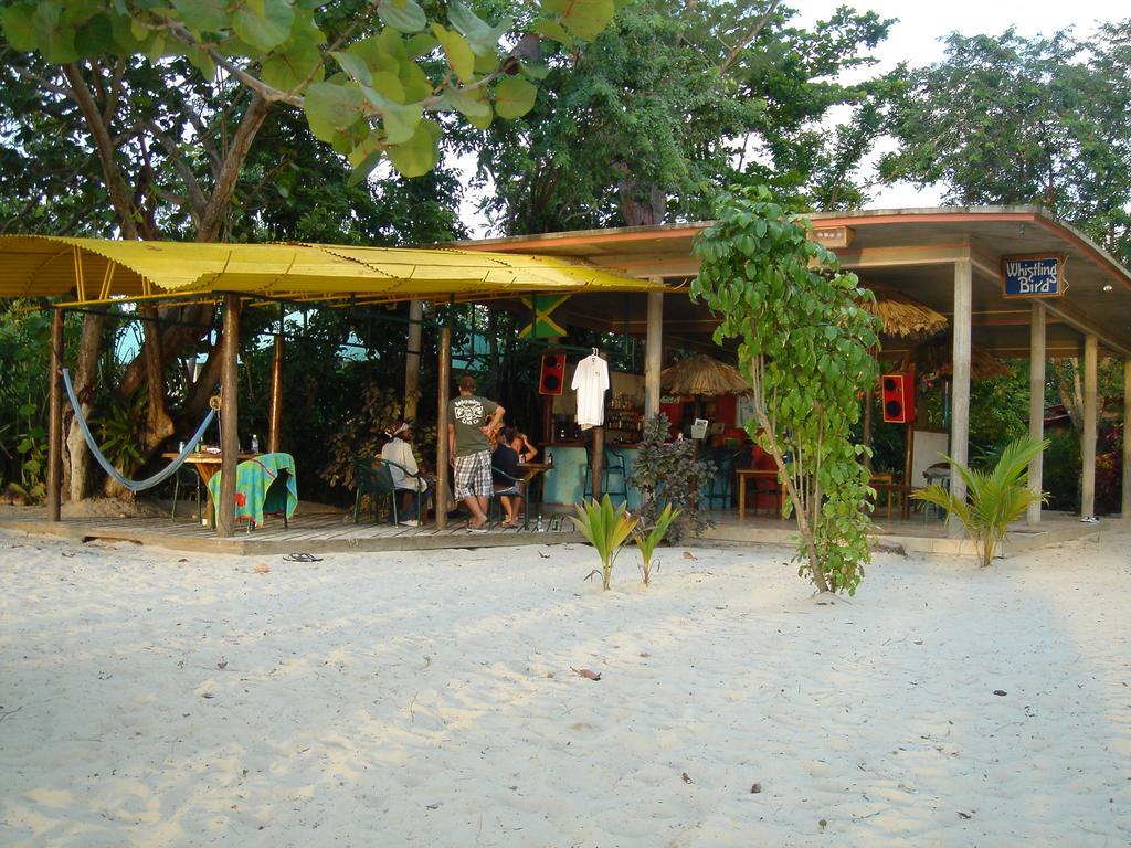 Whistling Bird Hotel Negril Bagian luar foto