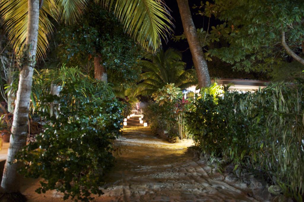 Whistling Bird Hotel Negril Bagian luar foto