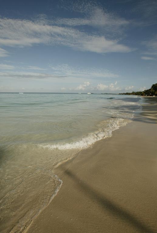 Whistling Bird Hotel Negril Bagian luar foto